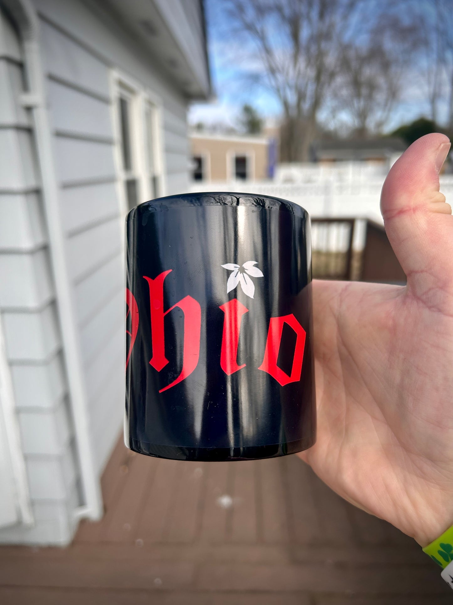 Scarlet and Gray Ohio Mug Black