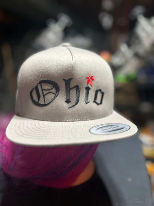 Scarlet and Grey Ohio Flatbrim Snapback Hats Gray