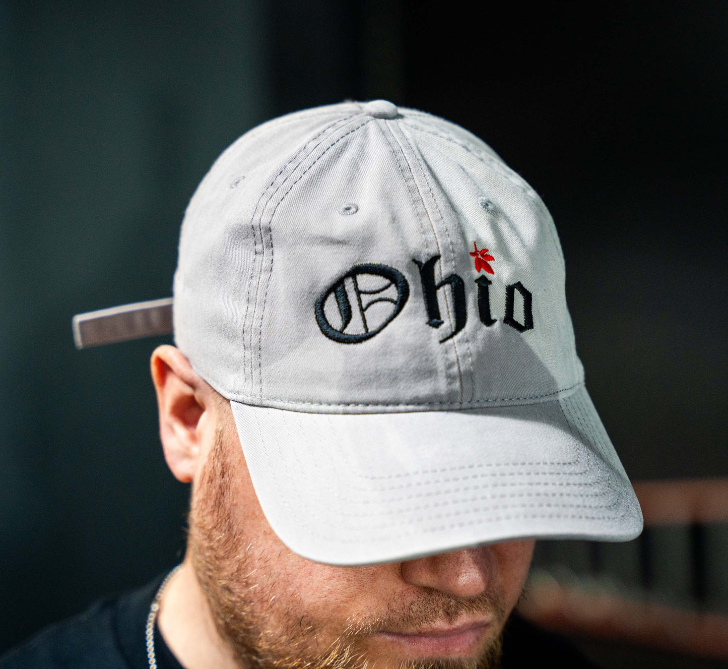 Scarlet and Grey Ohio Dad Hat Grey